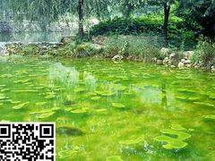 -沕沕水生态风景区