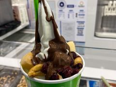 -Salud撒露欧洲冻酸奶(五道口购物中心店)