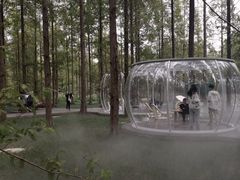 -黄海国家森林公园