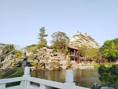 -顺峰山公园