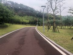 -飞凤山奥体公园