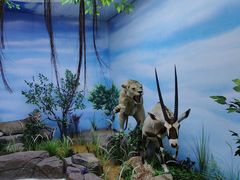 -西霞口神雕山野生动物世界