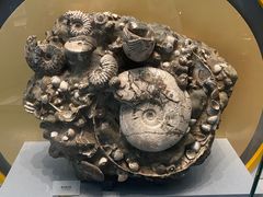 -湖南省地质博物馆