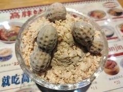 -高胖妹面庄(黄河道店)