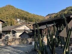 -MOJ coffee(瓯海泽雅水碓坑店)