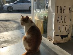 -五进制 Coffee Shop