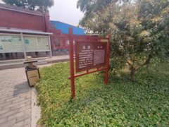 -正定古城-开元寺