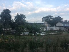 -金谷域澳洲庄园