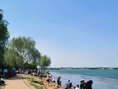 -丁香湖公园