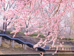 -安定门(地铁站)