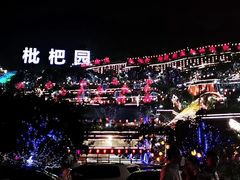 -枇杷园食为鲜火锅(南山店)