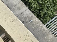 -宁波九龙湖开元度假村