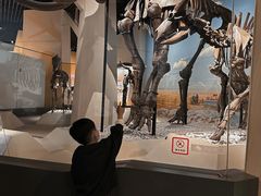 -国家自然博物馆