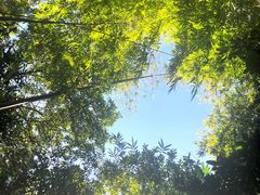 -林丰温泉度假山庄