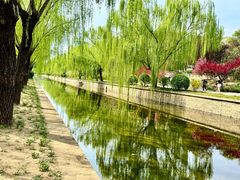 -元大都城垣遗址公园