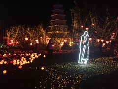 -亚龙湾国际玫瑰谷