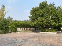 -重庆彩云湖湿地公园