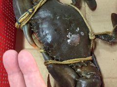 螃蟹（大）-龙海鲜螃蟹王(宏茂桥店)