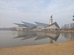 -盐城丹顶鹤湿地生态旅游区