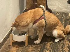 -三目仓咖啡(贤南路店)