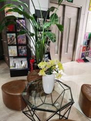 点击看大图 -BENSON沙龙