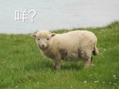 -航天馒头(瞻园路店)