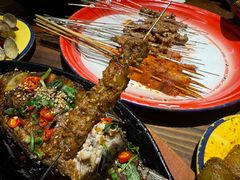 肥瘦-多寿小电烤