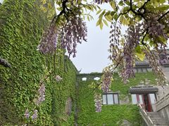 -句容茅山景区
