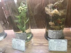 点击看大图 -河南中医药大学第一附属医院·皮肤美容