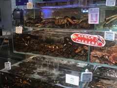 -超级物种(省府店)