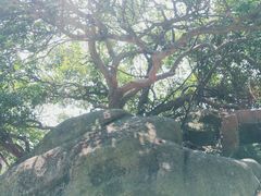 -灵岩山风景区