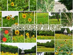 -大宁公园