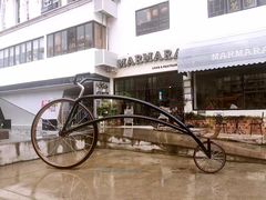 -猫咪博物馆(顶澳仔猫街店)