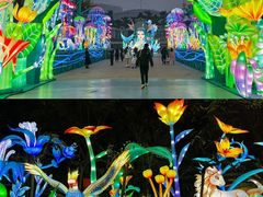 -海合安成都极地海洋公园