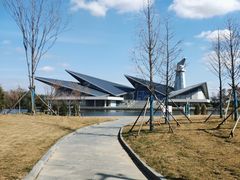 -盐城丹顶鹤湿地生态旅游区