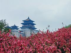 -莲花池公园