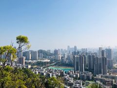 -板樟山森林公园