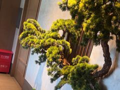 -百富源·海鲜辽菜(张士店)