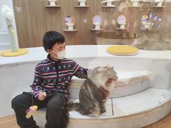 -COLOR PETS 撸猫馆·购猫·猫咖(长风大悦城店)