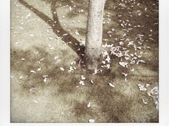 -碑林公园