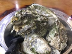 -蚝得喜海鲜(东城店)