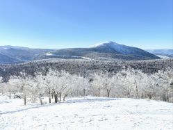 -大秃顶子山