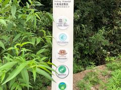 -洛阳白云山景区