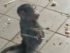 -秦皇岛野生动物园