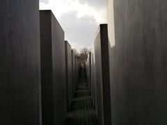 -欧洲被害犹太人纪念碑