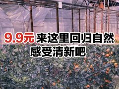 -前小桔亲子创意农场·草莓采摘·露营烧烤