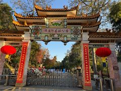 -广州市流溪河国家森林公园