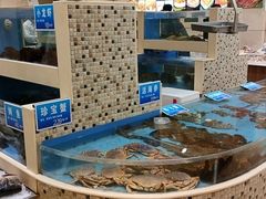 -双井轩(双井店)