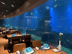 -涛·海底餐厅·美人鱼·自助餐·海底隧道(三亚海棠湾洲际度假酒店)