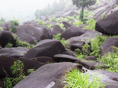 -玉苍山国家森林公园